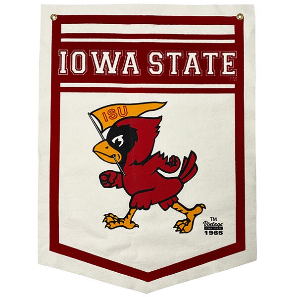 Vintage Pennant Cy Banner